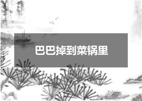 巴巴掉到菜锅里