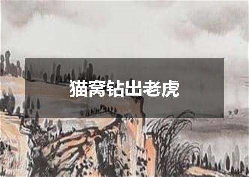 猫窝钻出老虎