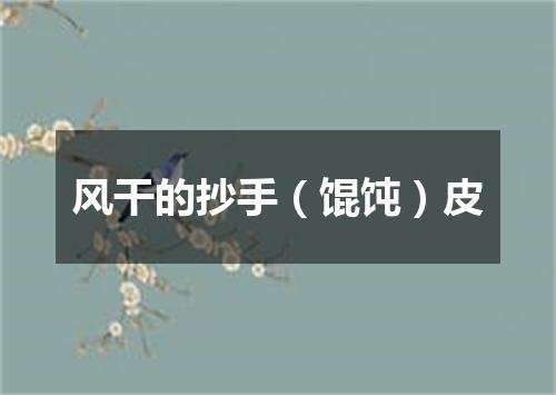 风干的抄手（馄饨）皮