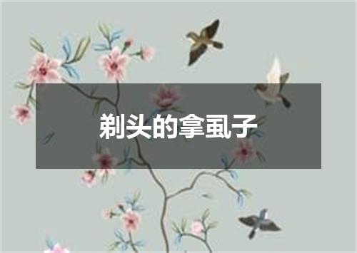 剃头的拿虱子