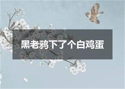 黑老鸦下了个白鸡蛋