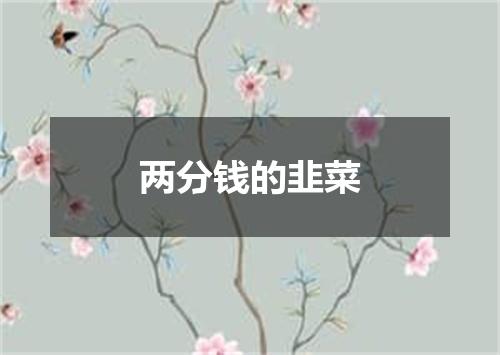 两分钱的韭菜
