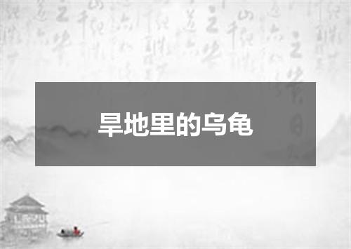 旱地里的乌龟