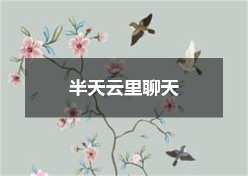 半天云里聊天