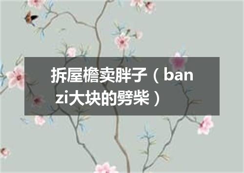 拆屋檐卖胖子（ban zi大块的劈柴）
