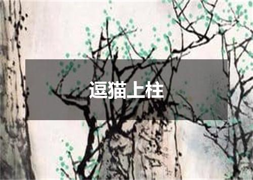 逗猫上柱