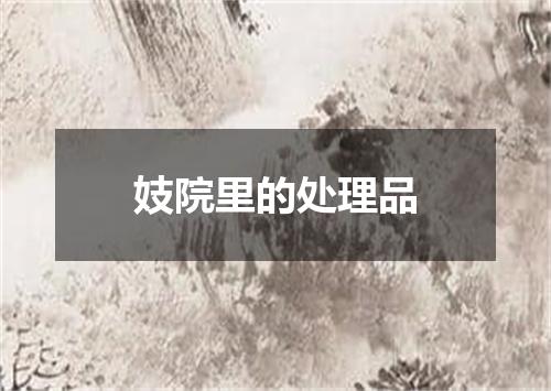 妓院里的处理品