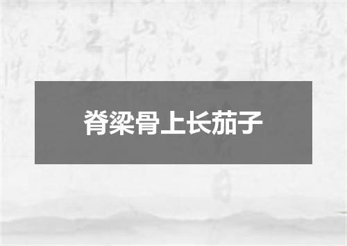 脊梁骨上长茄子