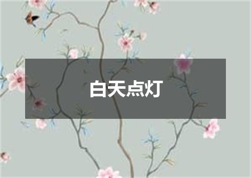 白天点灯