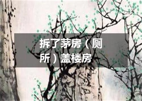 拆了茅房（厕所）盖楼房