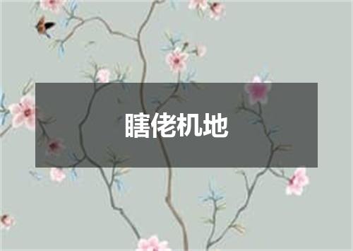 瞎佬机地