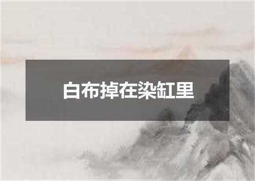 白布掉在染缸里