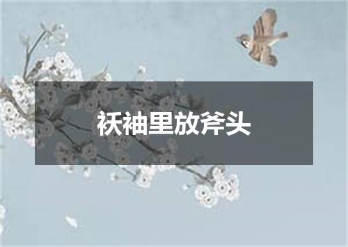 袄袖里放斧头