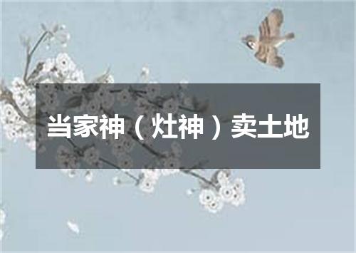 当家神（灶神）卖土地