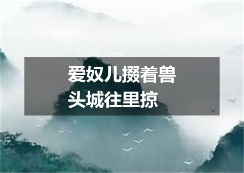 爱奴儿掇着兽头城往里掠