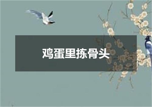 鸡蛋里拣骨头