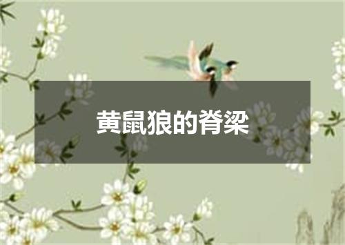 黄鼠狼的脊梁