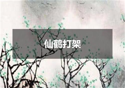 仙鹤打架