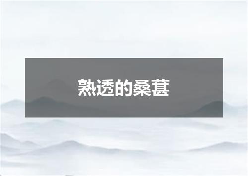 熟透的桑葚