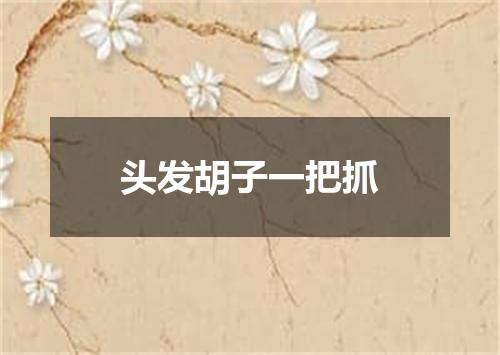 头发胡子一把抓