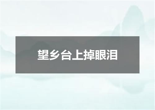 望乡台上掉眼泪