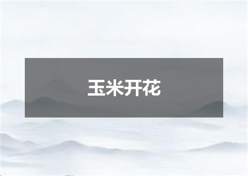 玉米开花