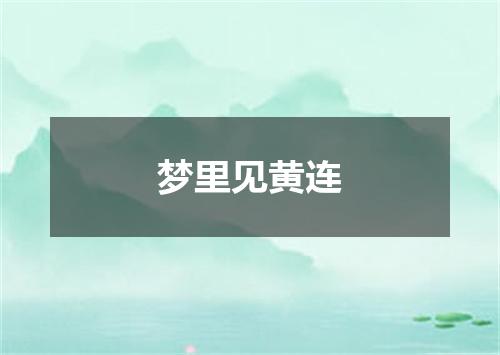 梦里见黄连
