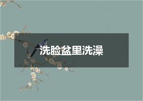 洗脸盆里洗澡