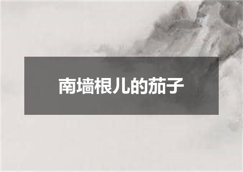 南墙根儿的茄子