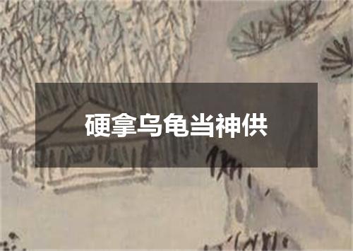 硬拿乌龟当神供