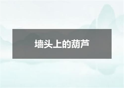 墙头上的葫芦
