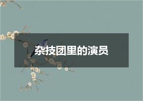 杂技团里的演员