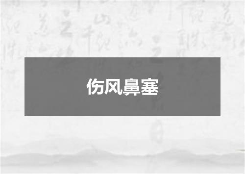 伤风鼻塞