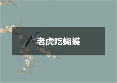 老虎吃蝴蝶