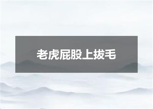 老虎屁股上拔毛