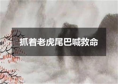 抓着老虎尾巴喊救命