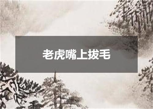 老虎嘴上拔毛