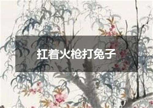扛着火枪打兔子