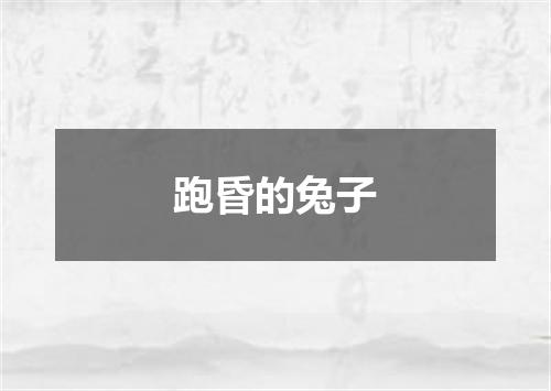 跑昏的兔子
