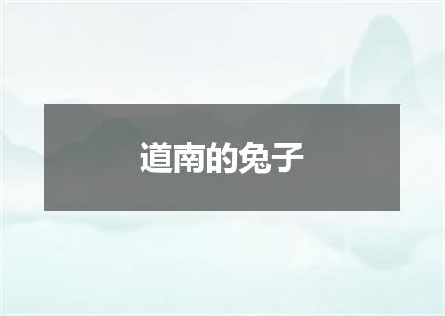 道南的兔子