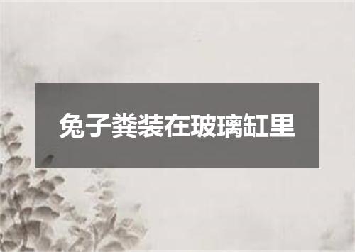 兔子粪装在玻璃缸里