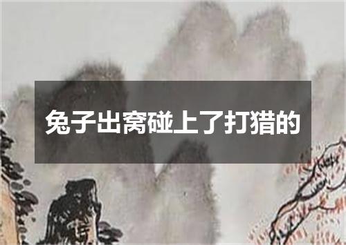 兔子出窝碰上了打猎的
