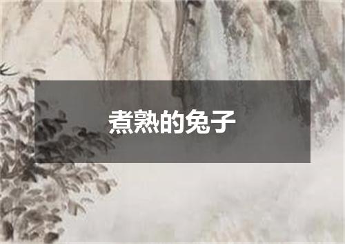 煮熟的兔子