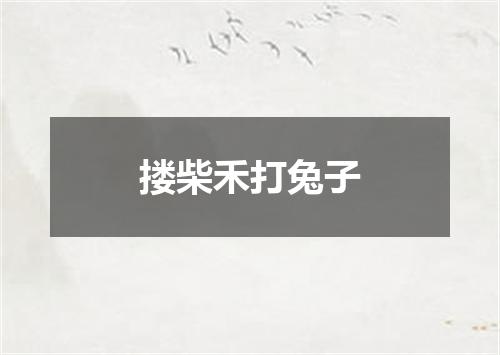 搂柴禾打兔子
