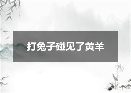 打兔子碰见了黄羊