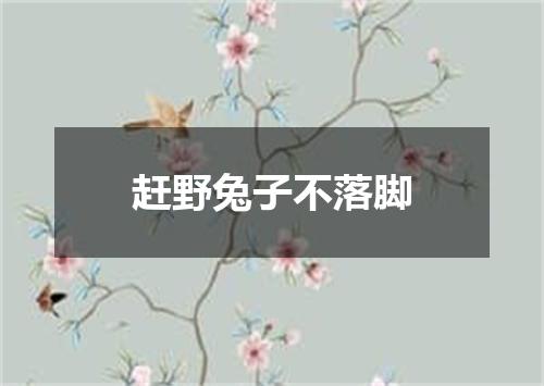 赶野兔子不落脚