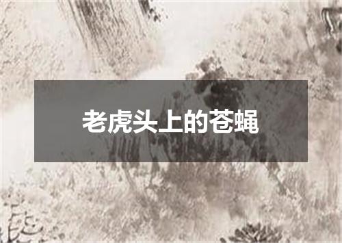 老虎头上的苍蝇