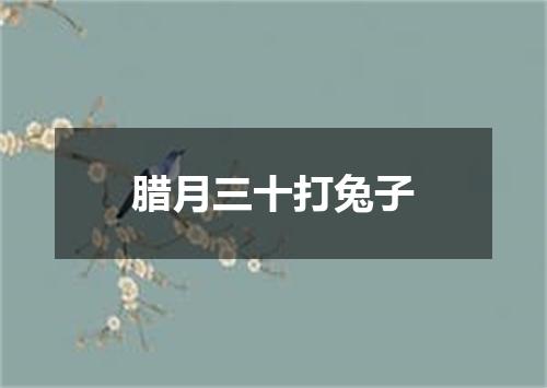 腊月三十打兔子