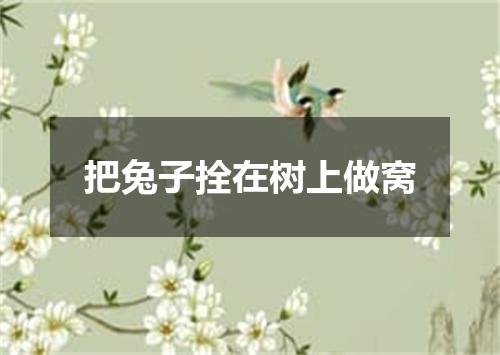 把兔子拴在树上做窝