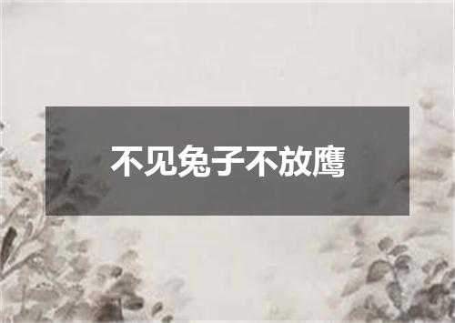 不见兔子不放鹰